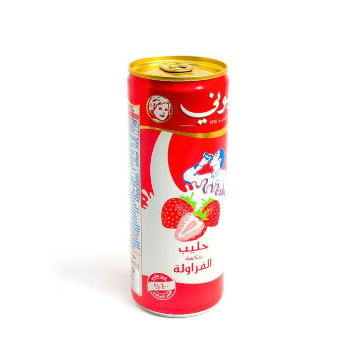 Bonny Flavored Milk 250 ml