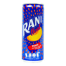 Rani Float Fruit Drink 240 ml