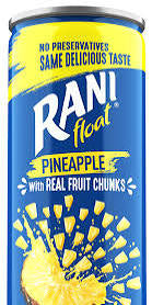 Rani Float Fruit Drink 240 ml